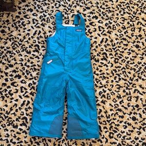 Patagonia snow bibs